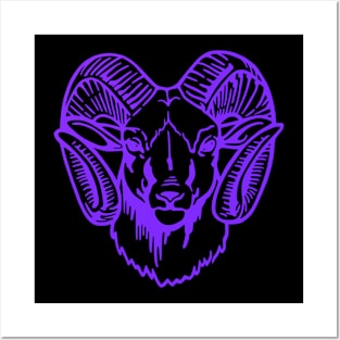 Mascot Head of a Ram (Drawing - Illustration) Han Purple Posters and Art